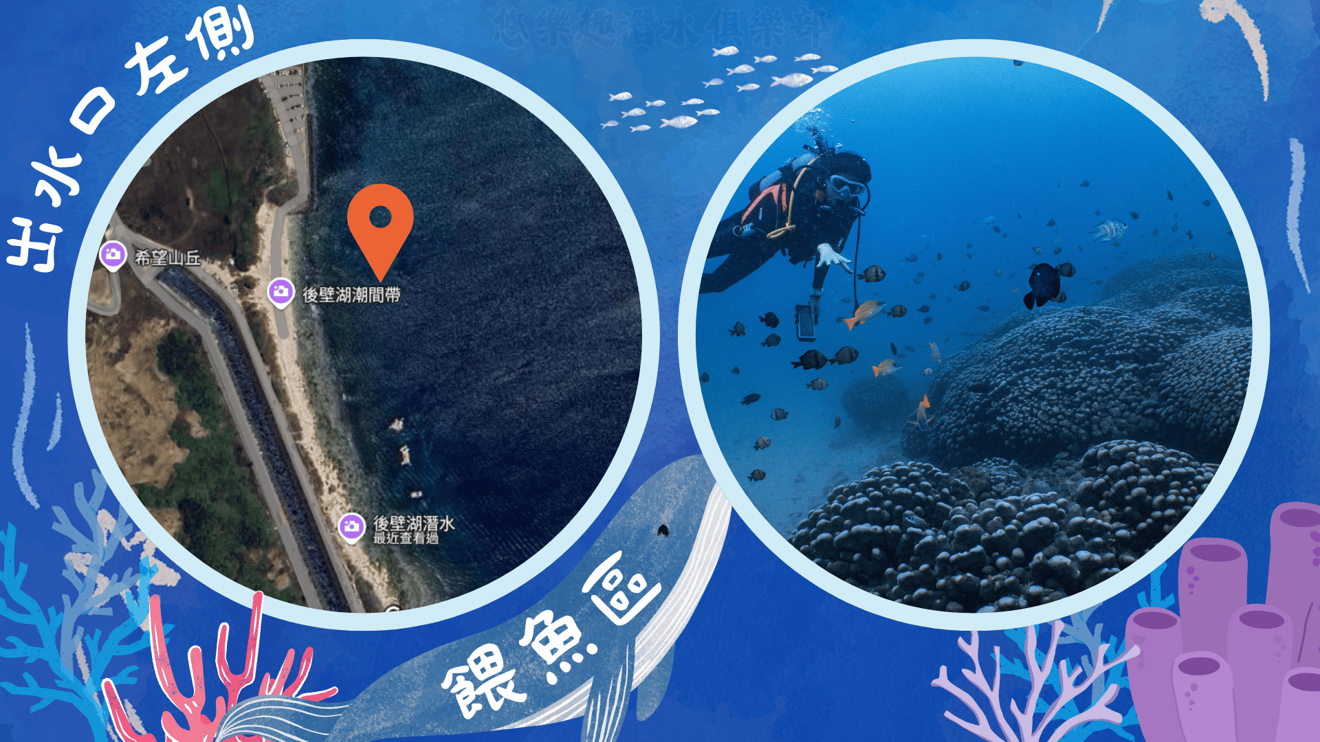墾丁潛水地點-後壁湖餵魚區