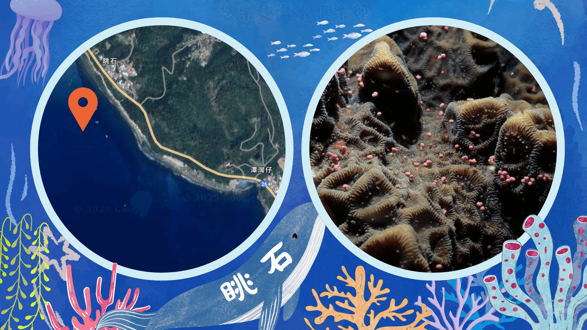 墾丁潛水地點-眺石