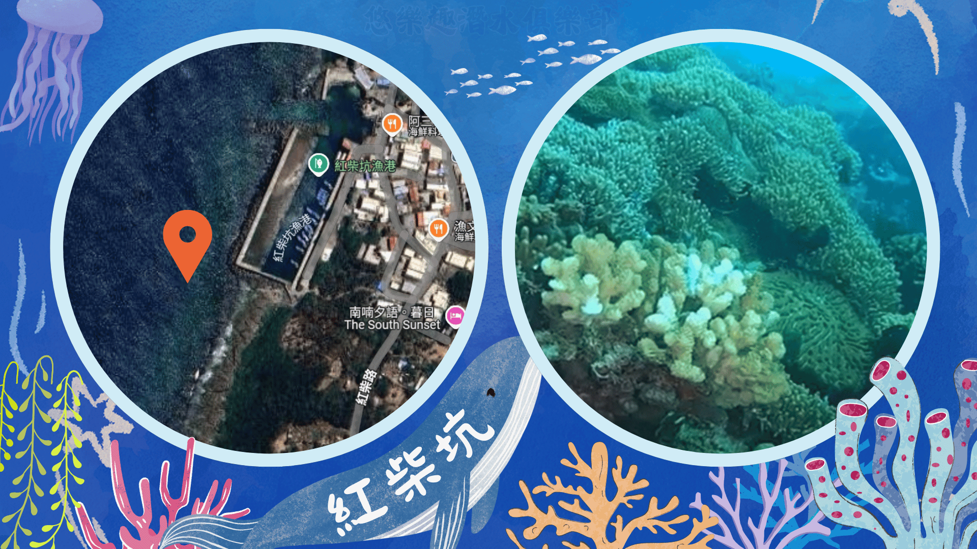 墾丁潛水地點-紅柴坑