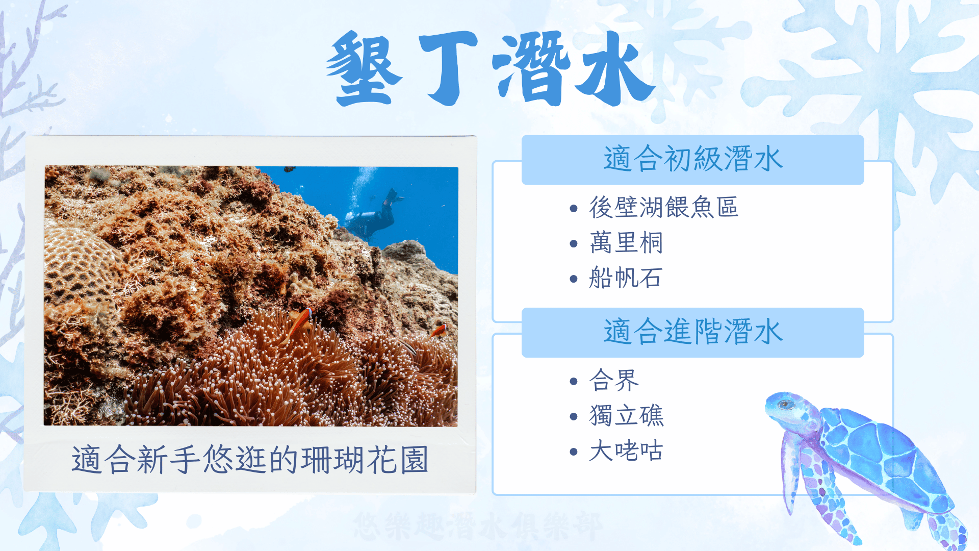 墾丁潛水