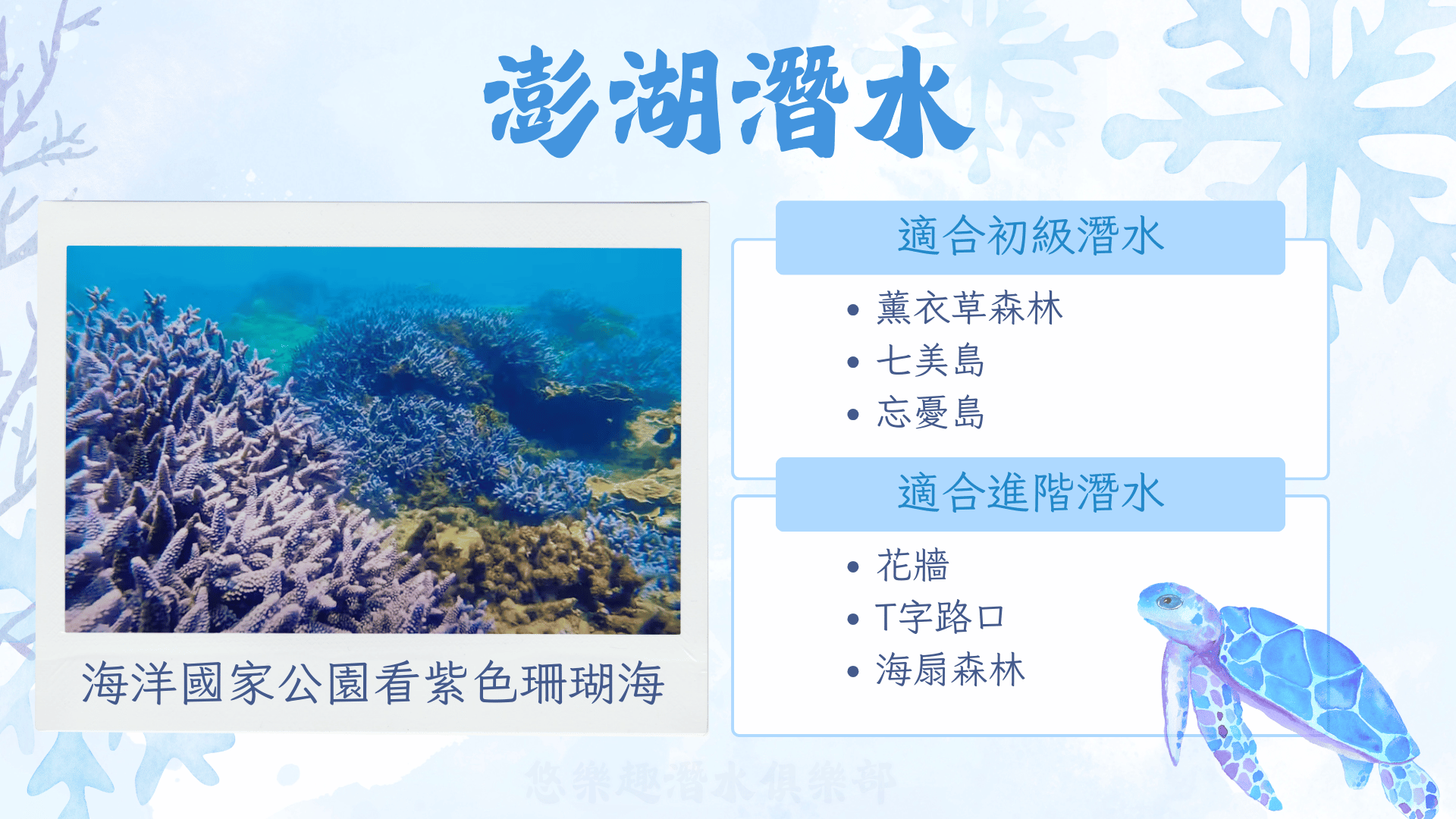 澎湖潛水