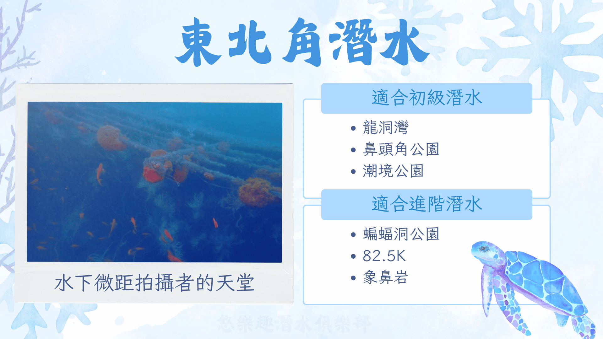 東北角潛水