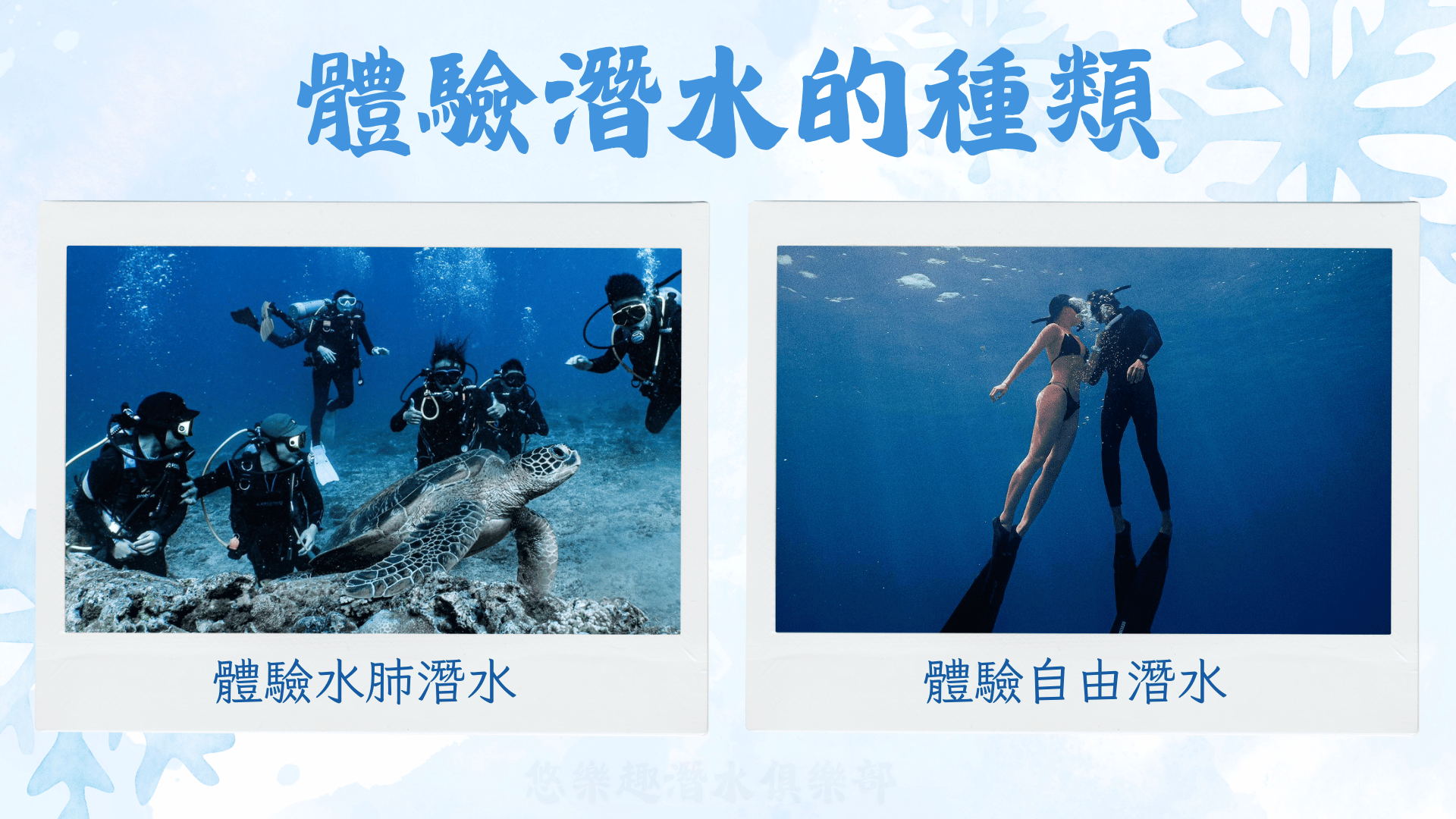 體驗自由潛水和體驗水肺潛水