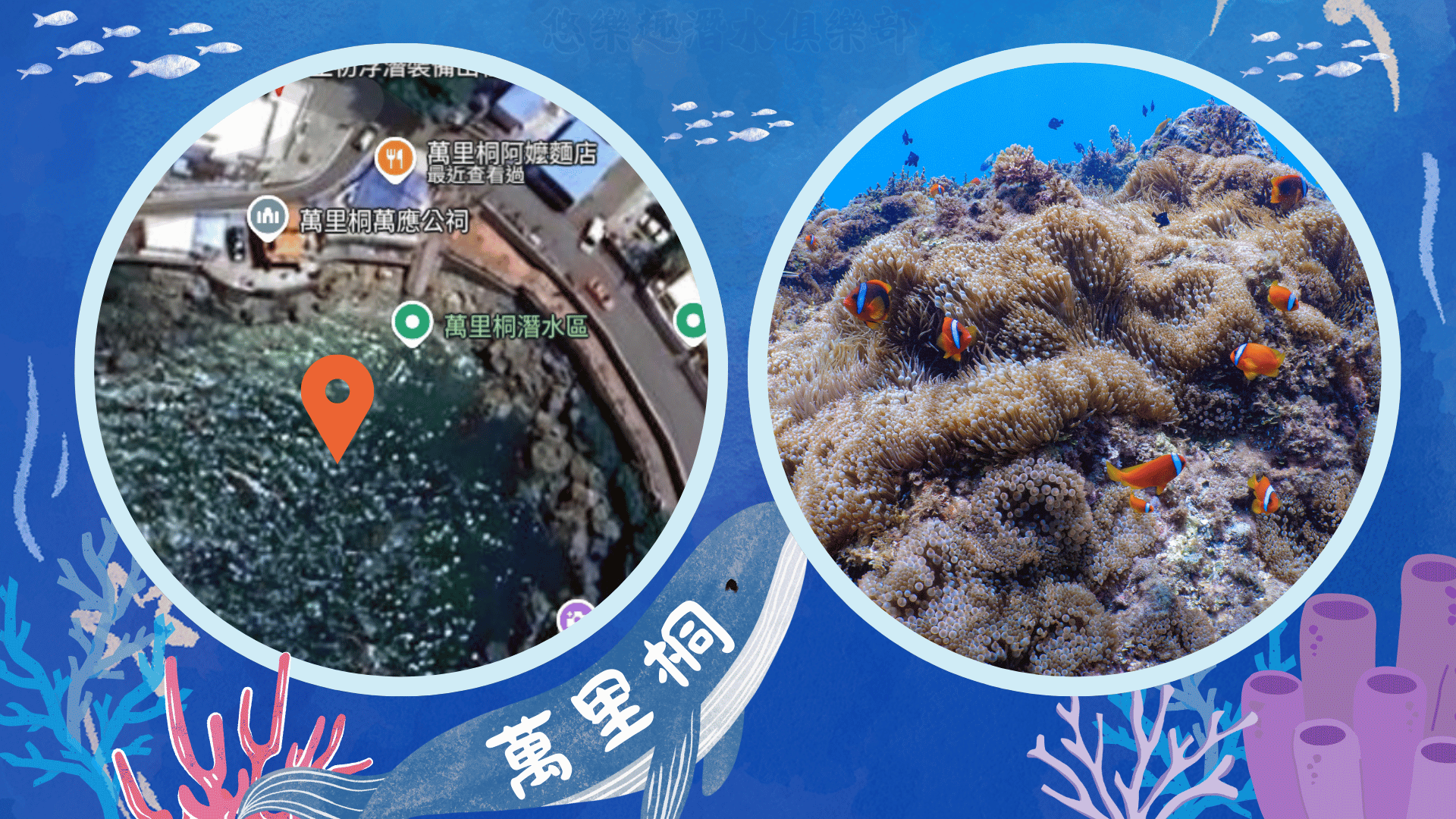 墾丁潛水地點-萬里桐