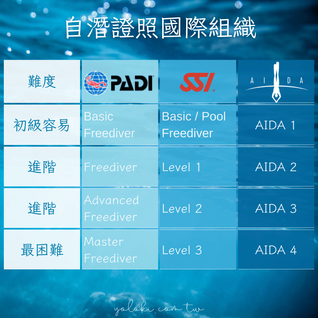 PADI/SSI/AIDA自由潛水證照