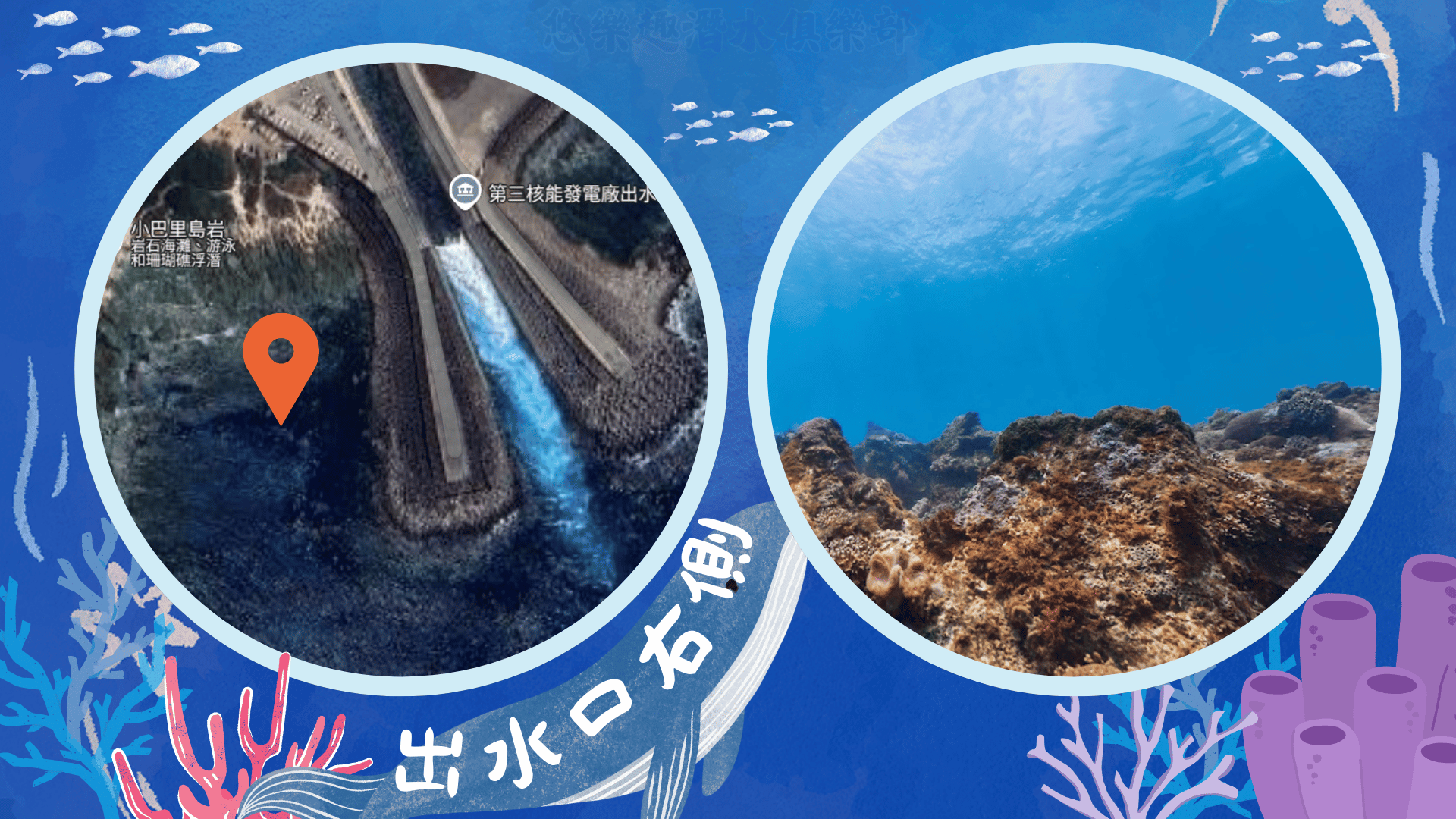墾丁潛水地點-出水口右側