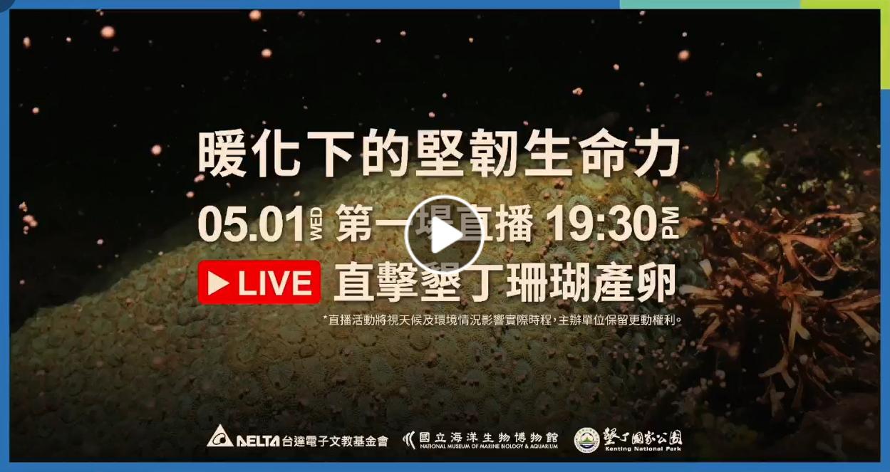 海生館珊瑚產卵直播畫面